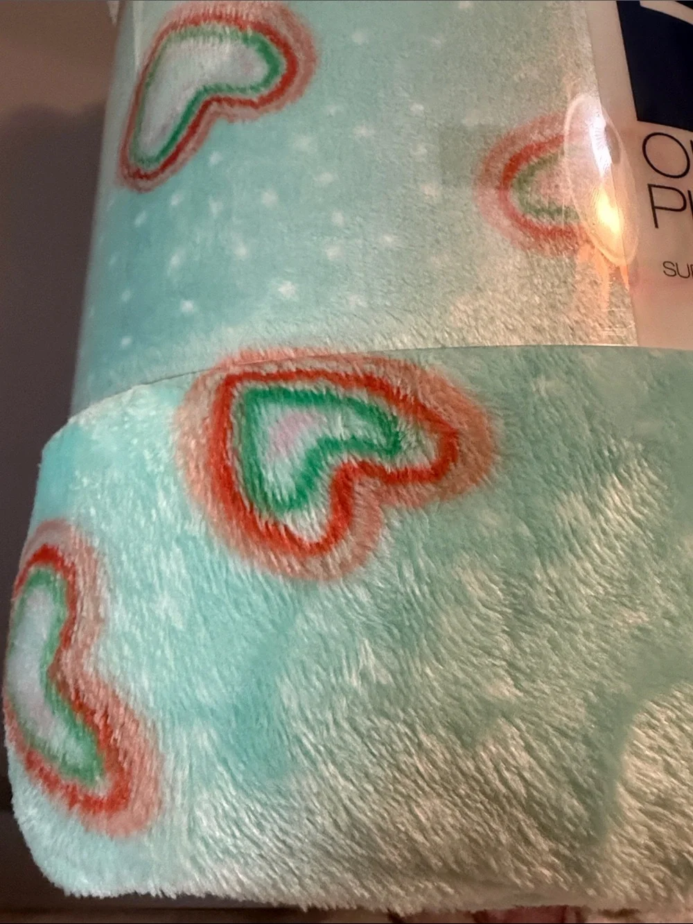 The Big One Plush Throw - Mint with Coral & White Hearts
